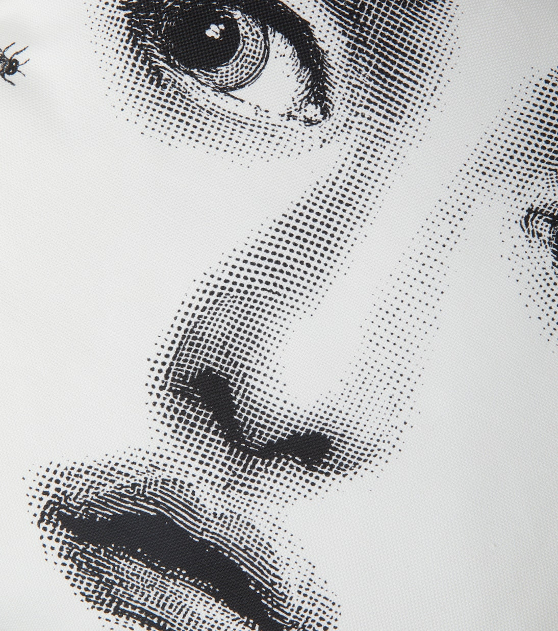 Fornasetti - Tema E Variazioni Ape cushion