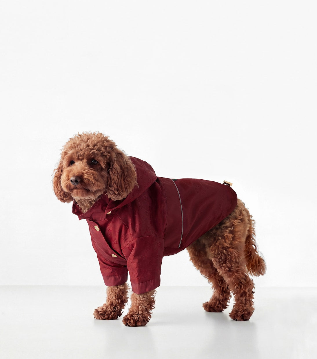 Gucci - GG pet rain coat
