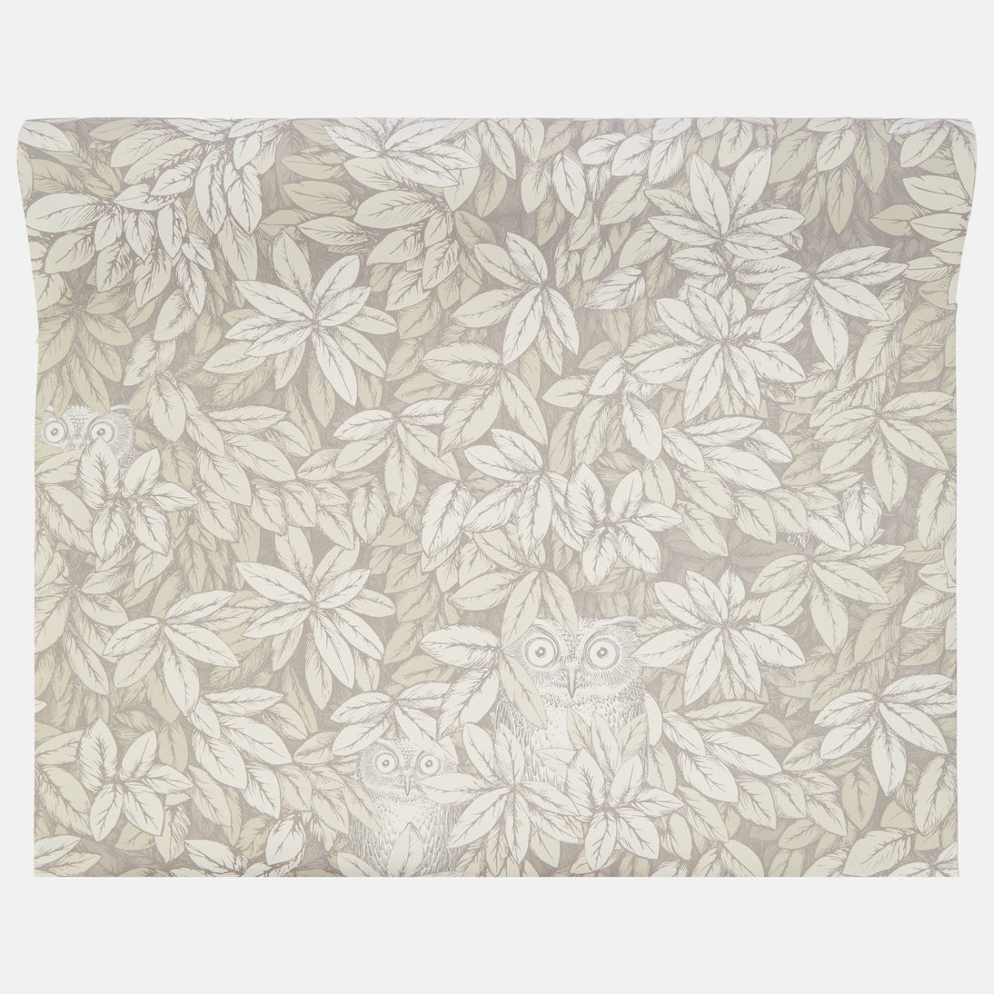 Fornasetti - x Cole & Son Foglie e Civette wallpaper