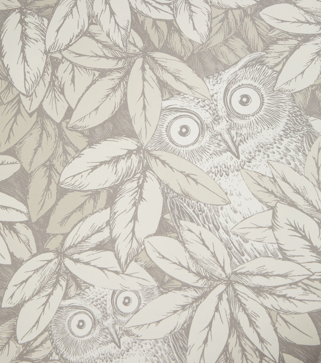 Fornasetti - x Cole & Son Foglie e Civette wallpaper