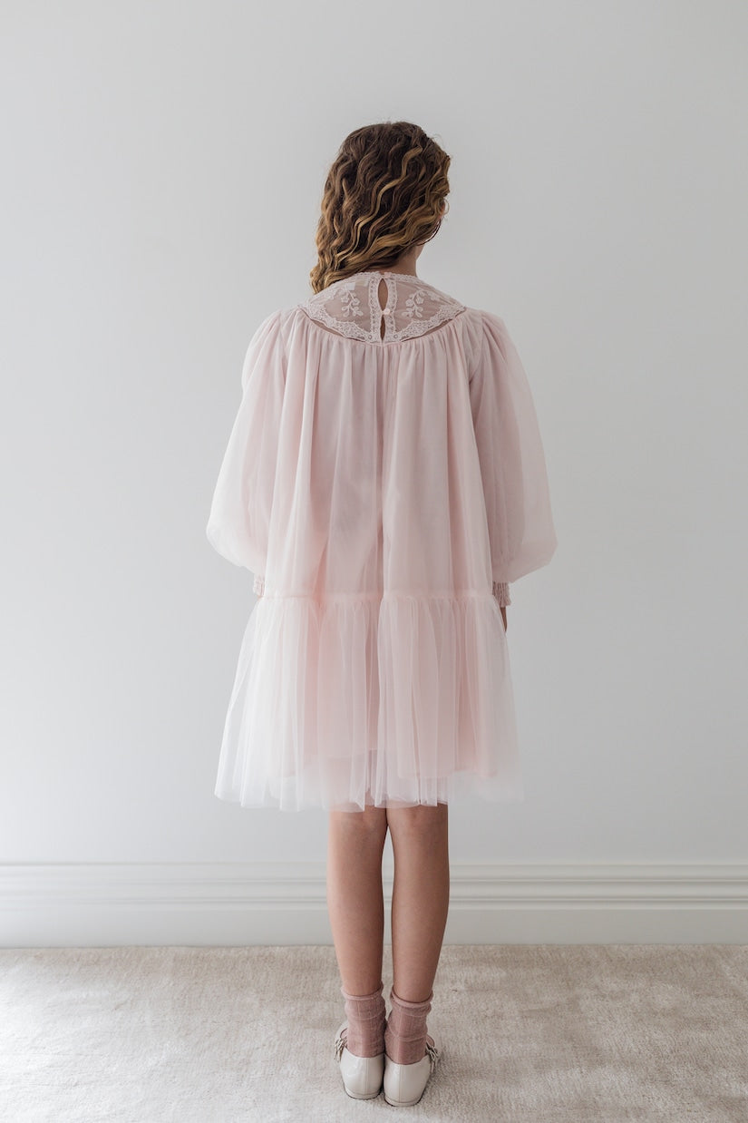 Petite Amalie - Lace-trimmed tulle dress