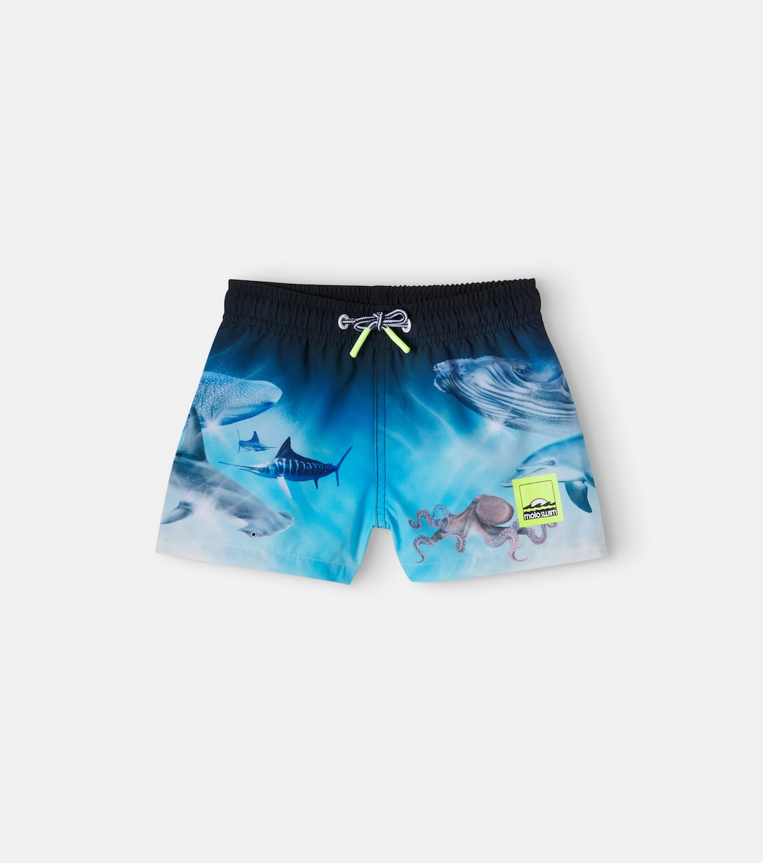 Molo - Niko printed swim trunks