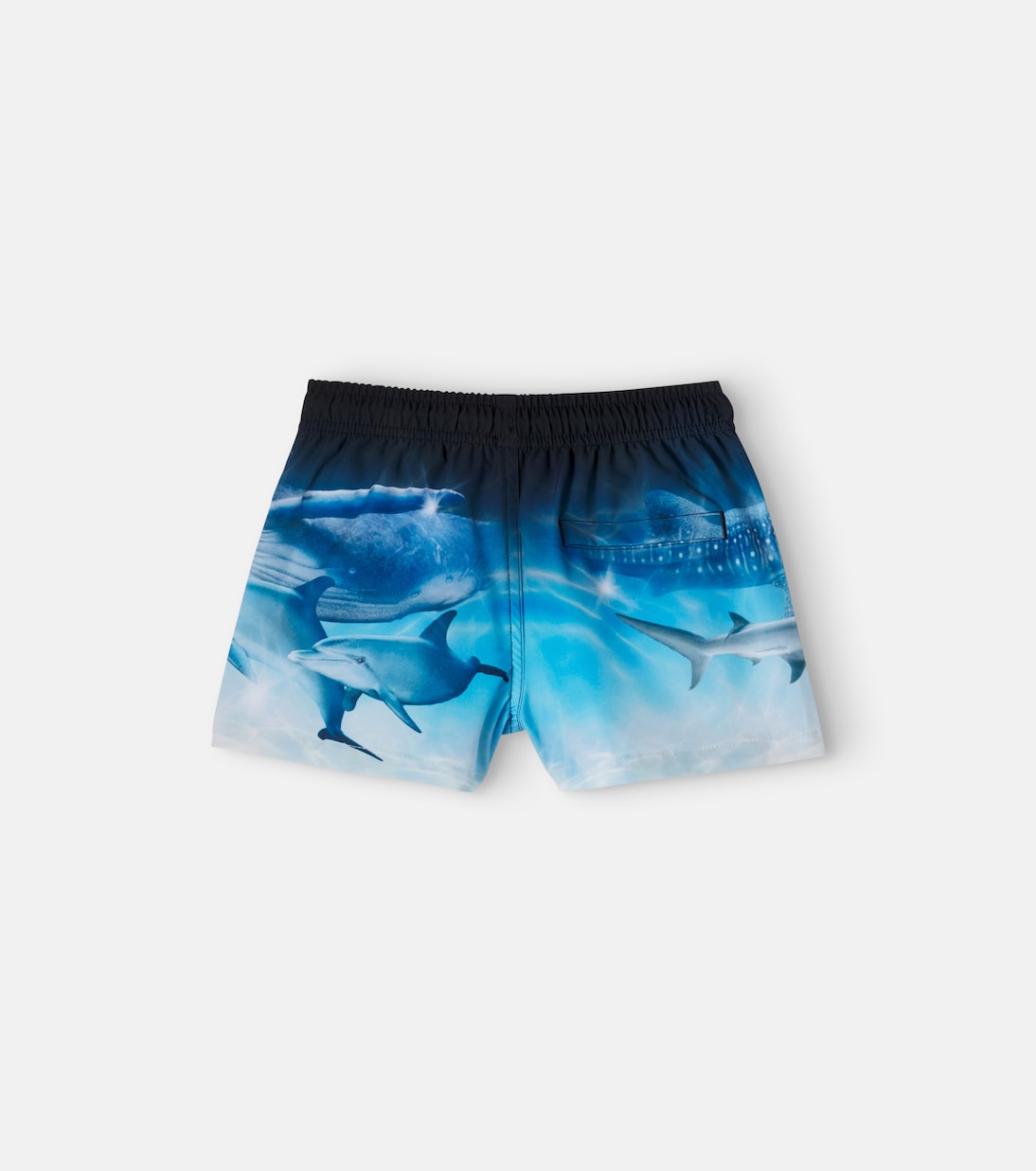 Molo - Niko printed swim trunks