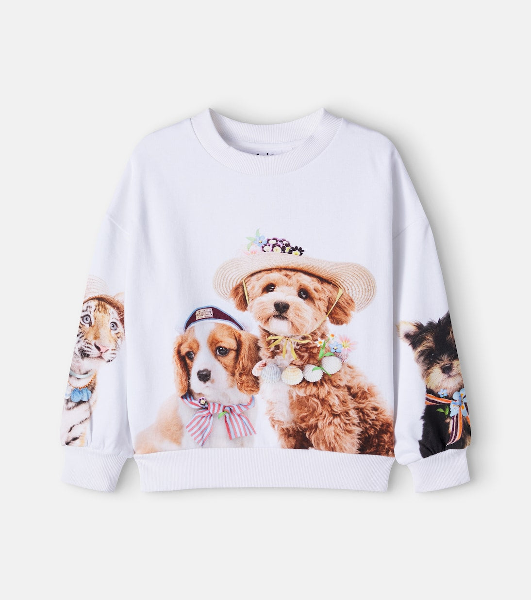 Molo - Maxi printed cotton jersey sweatshirt