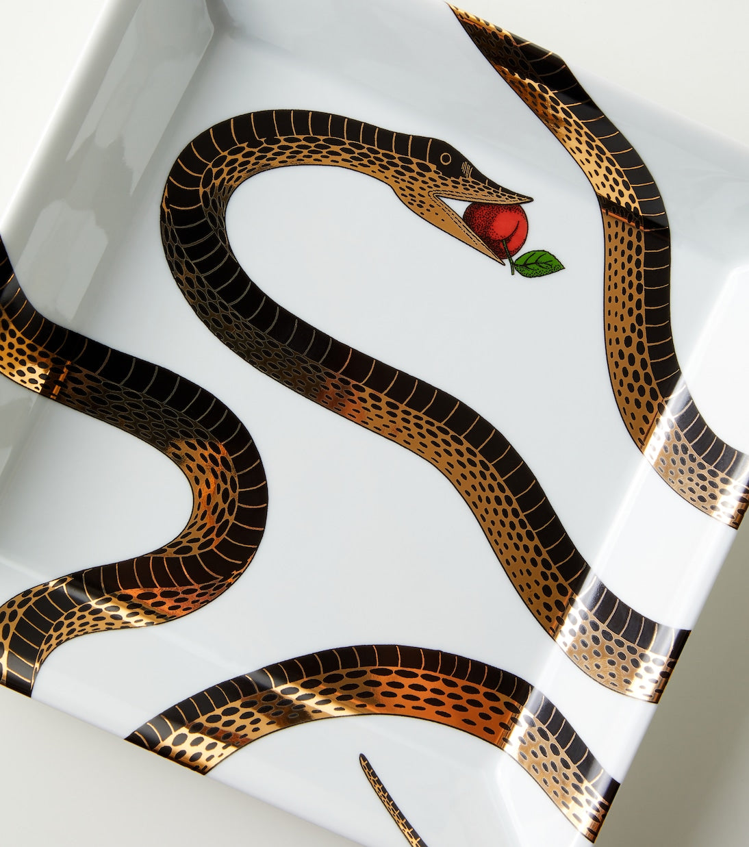 Fornasetti - Porcelain decorative tray