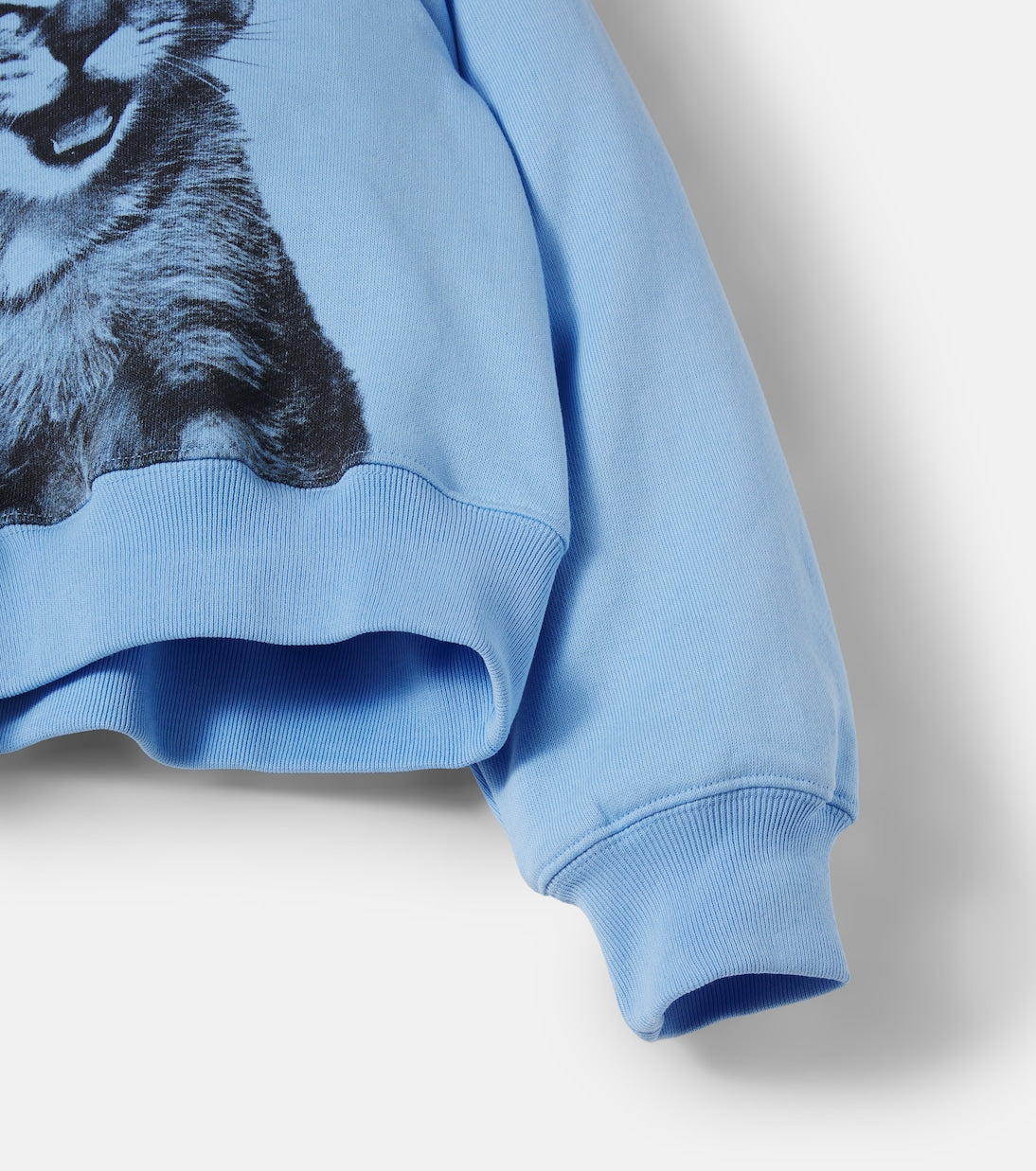 Molo - Marge printed cotton jersey sweatshirt