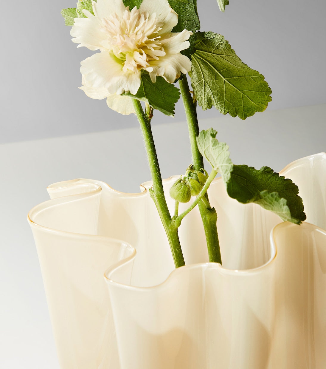 Venini - Fazzoletto Murano glass vase by Fulvio Bianconi and Paolo Venini